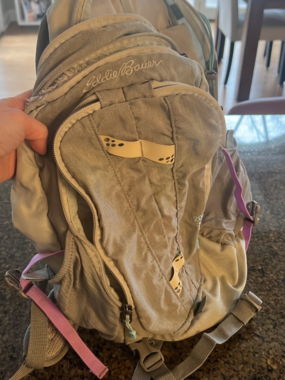 Eddie Bauer backpack